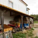 Quinta com T3+1 em Sobreiro 14