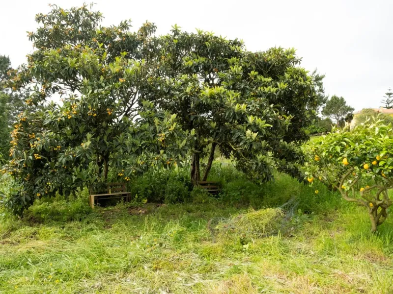 Quinta com T3+1 em Sobreiro