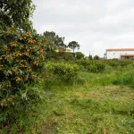 Quinta com T3+1 em Sobreiro 16