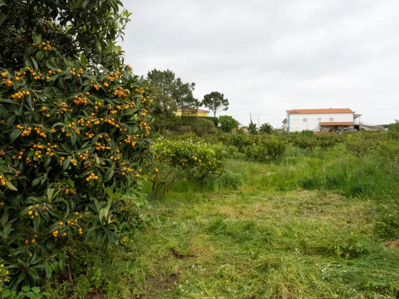 Quinta com T3+1 em Sobreiro