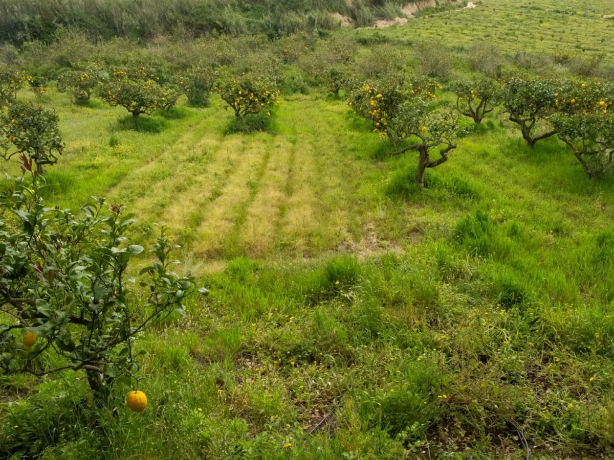 Quinta com T3+1 em Sobreiro