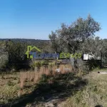 Quinta para venda, Ladoeiro 1