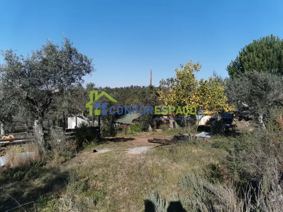 Quinta para venda, Ladoeiro