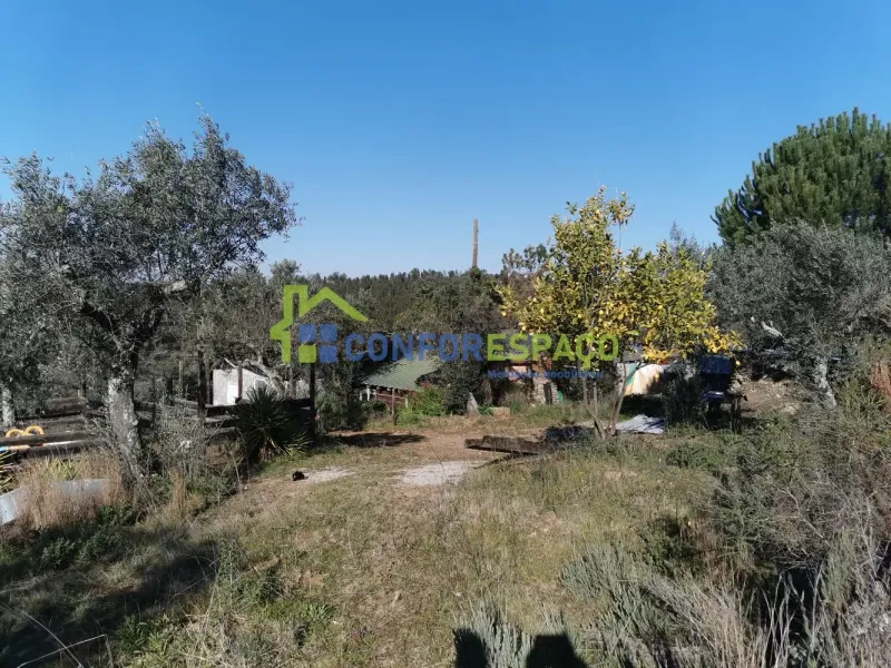 Quinta para venda, Ladoeiro