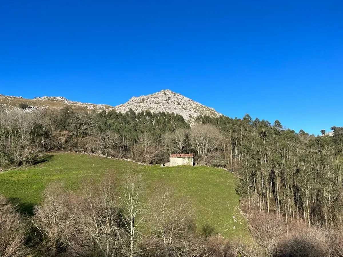 SE VENDE TERRENO RÚSTICO CON POSIBILIDAD DE CONVERTIRLO EN TERRENO URBANIZBLE EN LIÉRGANES