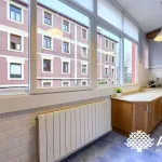 Alquiler de Temporada en Barrio de la Cruz (Begoña, Bilbao), 2 Habitaciones, Luminoso 17