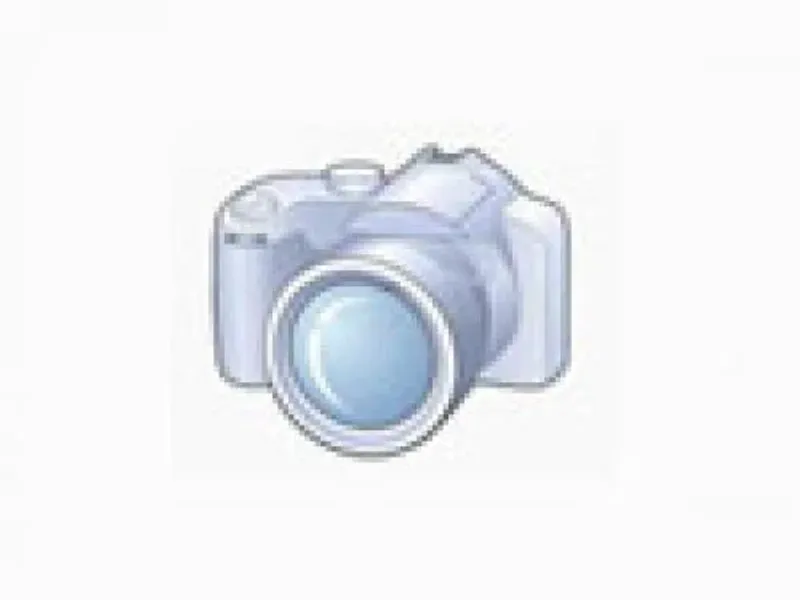 Terreno Rústico em Valpedre, Penafiel