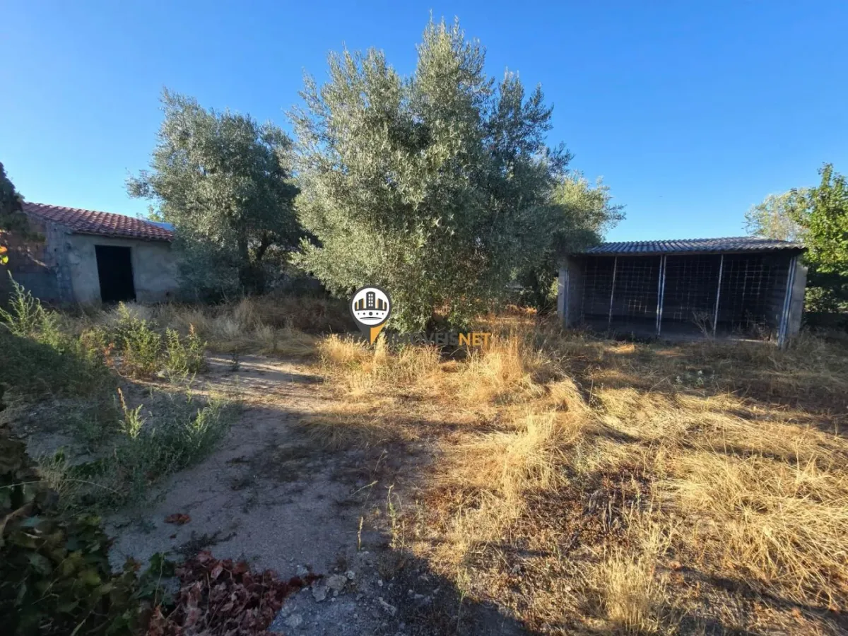 Terreno para Venda, Tinalhas, Castelo Branco