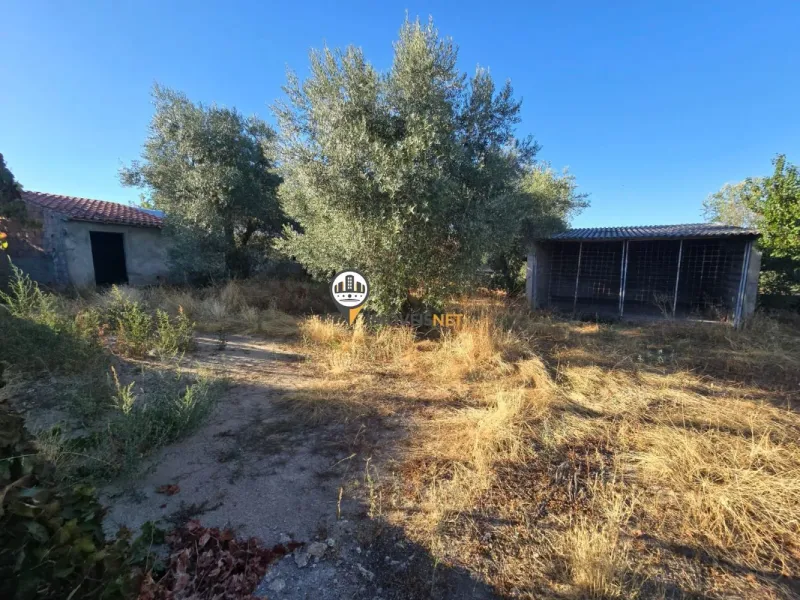 Terreno para Venda, Tinalhas, Castelo Branco