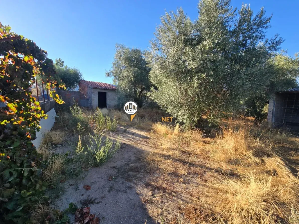 Terreno para Venda, Tinalhas, Castelo Branco