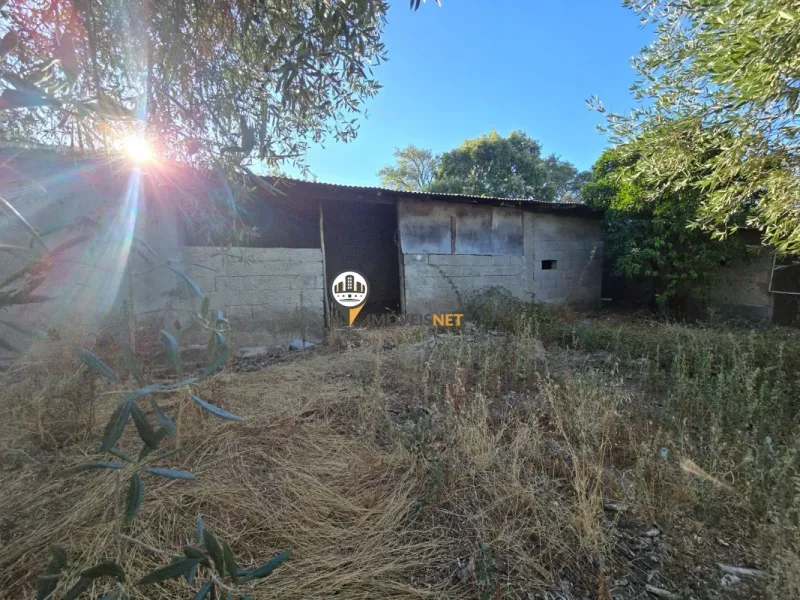 Terreno para Venda, Tinalhas, Castelo Branco