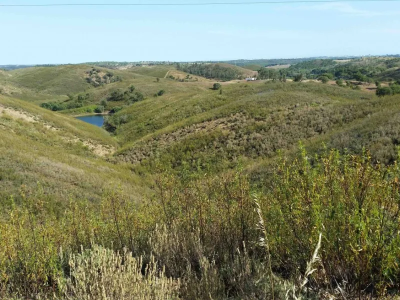 Terreno em Portimão