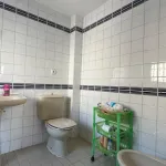 Cerca universidad 13