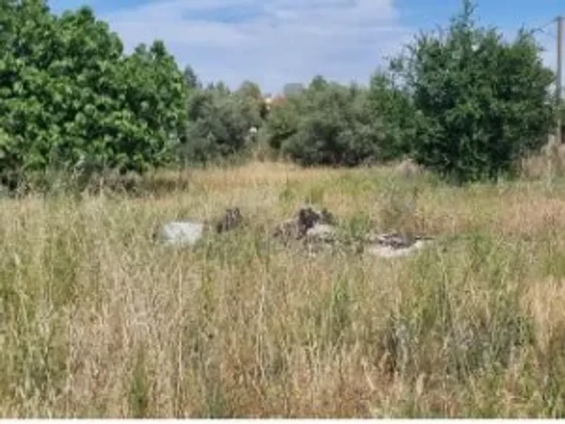Monte Alentejano todo NOVO