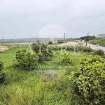 Moradia T3 - , Mora, venda 2