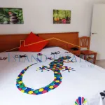 1 Bedroom Apartment in Las Floritas, Las Americas 7