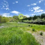 Terreno rústico en venta en El Burgo de Osma 3