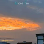 Acolhedor T1 na Sobreda em excelente estado de conservação e localização privilegiada 15