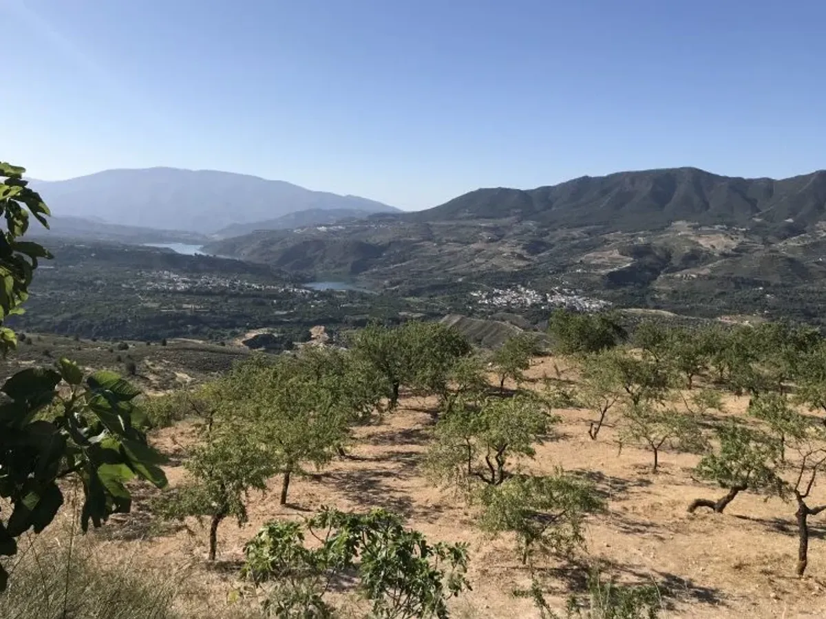 Finca de las Vistas
