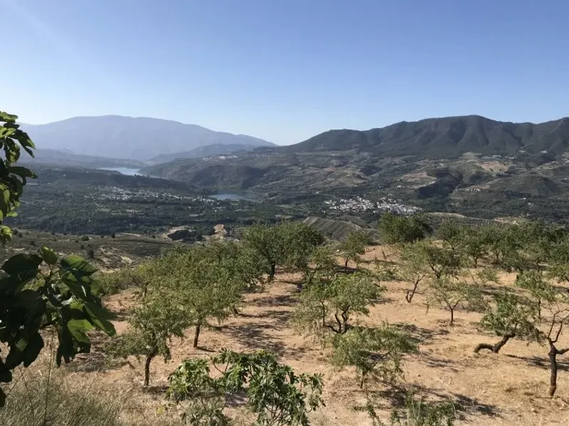 Finca de las Vistas