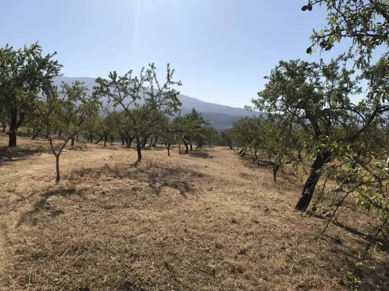 Finca de las Vistas