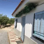 Finca de las Vistas 12