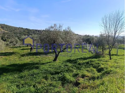 Armazém/arrecadação - Alfandega Fé