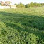 Terreno en Golmayo 1