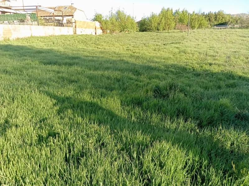 Terreno en Golmayo
