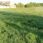 Terreno en Golmayo 2