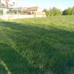 Terreno en Golmayo 4