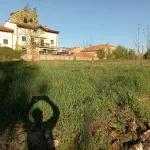 Terreno en Golmayo 5