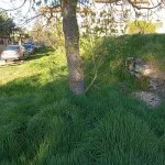 Terreno en Golmayo 6