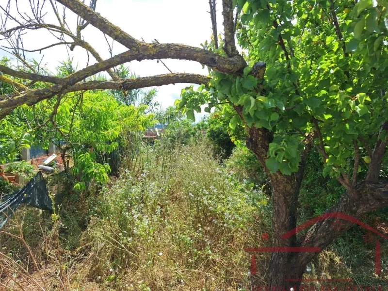 Terreno Urbano com 674.00 m2, com possibilidade de destaque