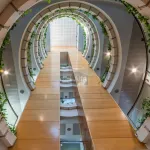 Exclusivo oficinas en PINAR DE CHAMARTIN / Madrid (Madrid) 6