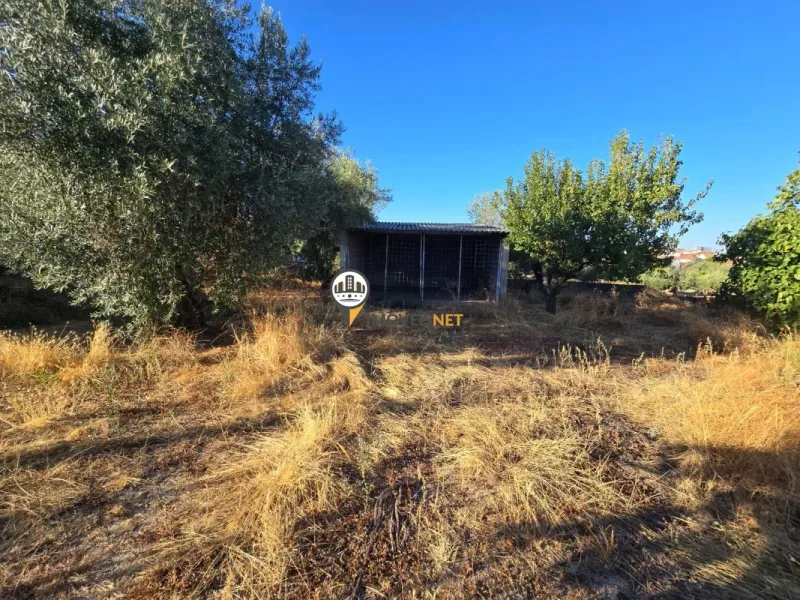 Terreno para Venda, Tinalhas, Castelo Branco