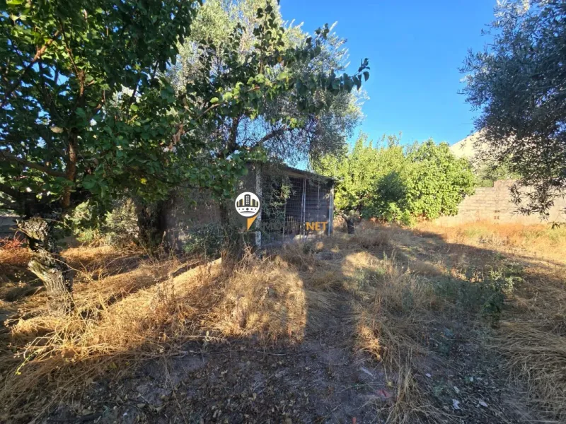 Terreno para Venda, Tinalhas, Castelo Branco