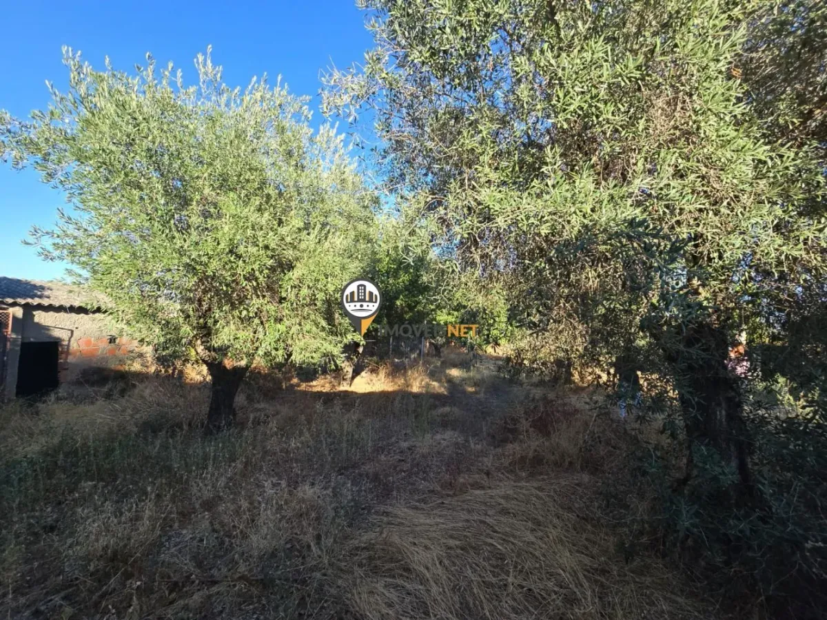 Terreno para Venda, Tinalhas, Castelo Branco