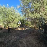 Terreno para Venda, Tinalhas, Castelo Branco 14