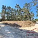 Terreno Rústico com Plantação de Eucaliptos 2