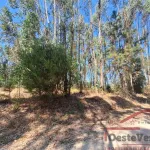 Terreno Rústico com Plantação de Eucaliptos 10