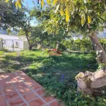 Villa en venta en Frigiliana 16