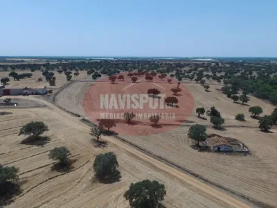 Herdade com 185 ha em Alfundão