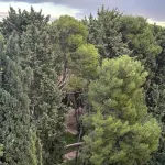 PISO EN VENTA SANTO GRIAL 5