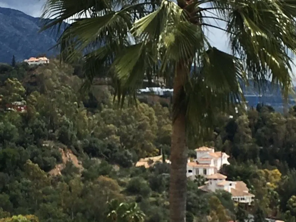 MIDDLE FLOOR APARTMENT