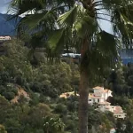 MIDDLE FLOOR APARTMENT 8