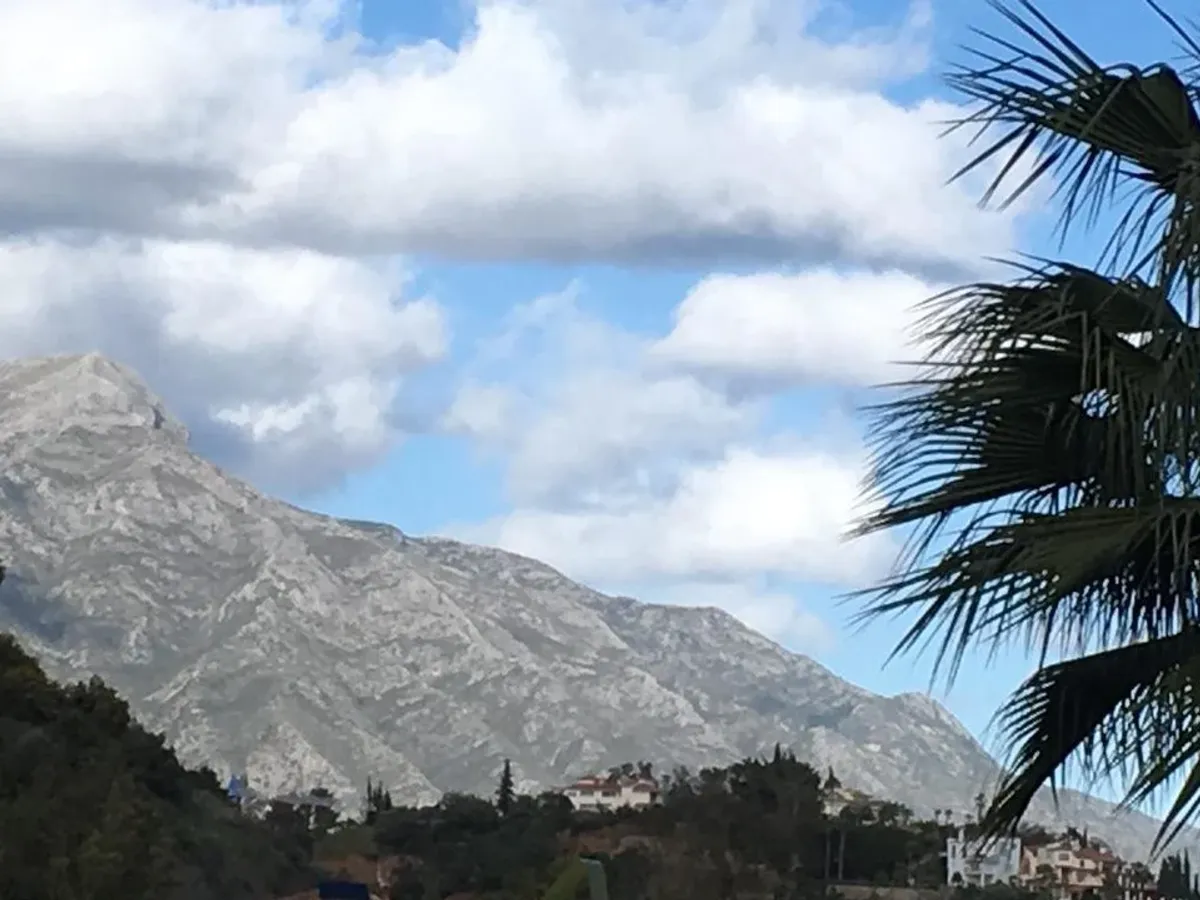 MIDDLE FLOOR APARTMENT