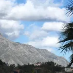 MIDDLE FLOOR APARTMENT 9