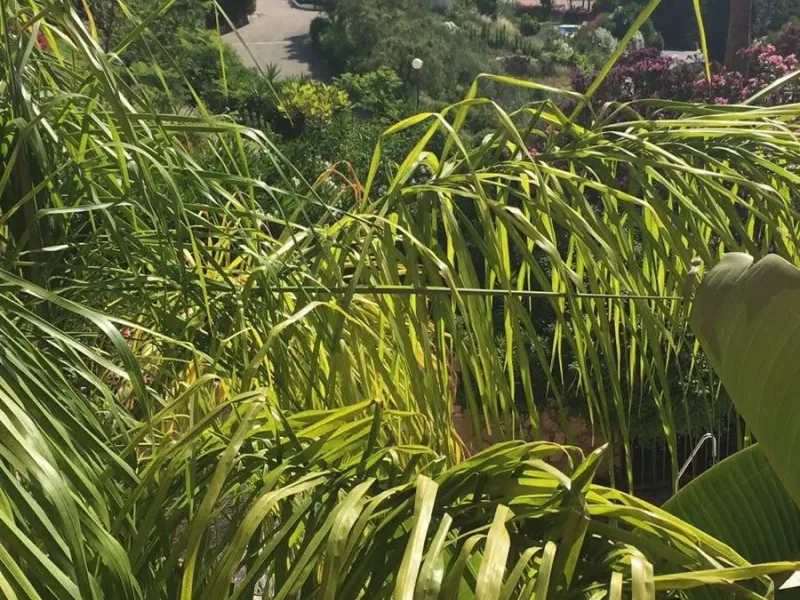 MIDDLE FLOOR APARTMENT