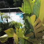 MIDDLE FLOOR APARTMENT 11